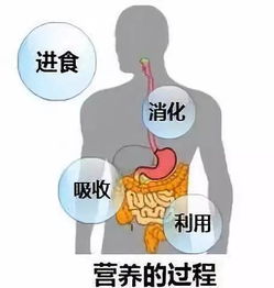 阐述合理生活方式对健康的影响