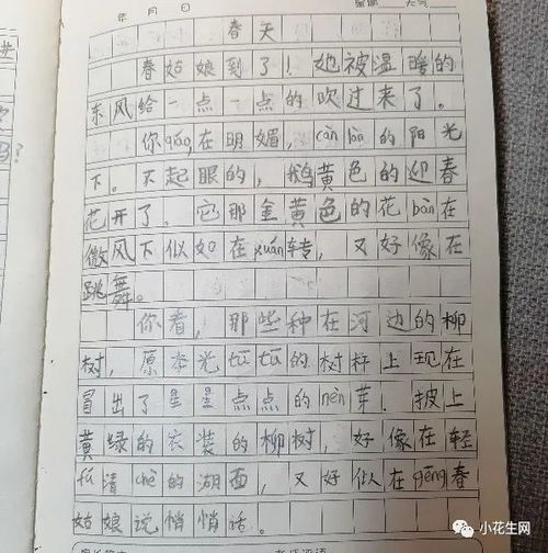 小狮子不爱刷牙的故事怎么写作文