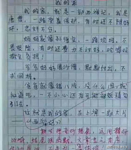 猜猜他是李晨作文300字