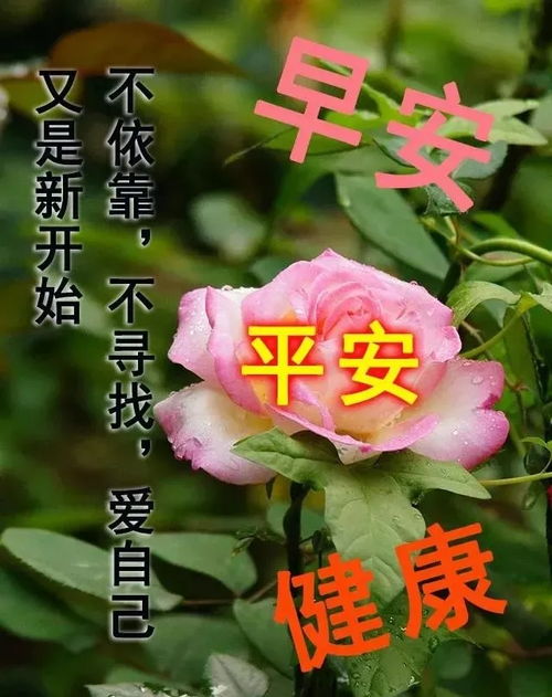 哥哥结婚祝福语发朋友圈