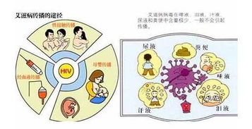 封闭抗体检查要空腹吗?