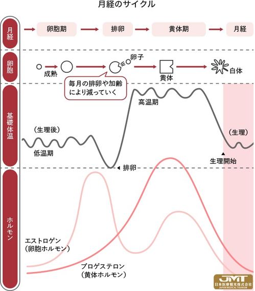 卵泡萎缩排出来还能受孕吗