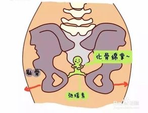 孕妇耻骨痛怎么缓解