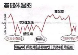 排卵期一般什么时候有哪些症状