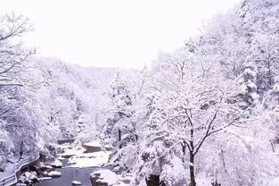 下雪唯美的诗句