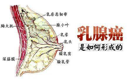 葡萄胎与男性有没有关系