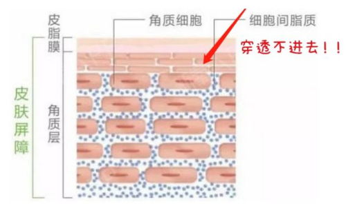 哺乳期护肤应该避开哪些成分