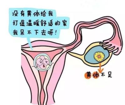 女性自然受孕最晚几岁还能怀孕