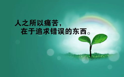 关于创业励志的句子或或话语