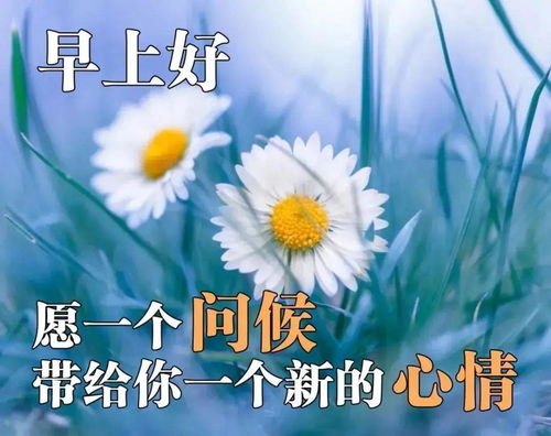 2020年简短祝福语八个字