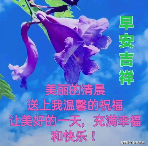 2020年简短祝福语八个字