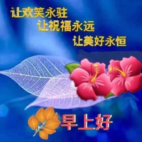 乐观心态的短句