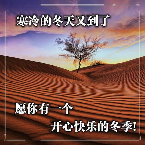 乐观心态的短句