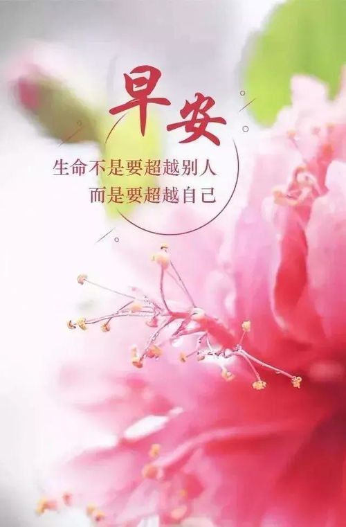 关于朋友圈早安激励语句