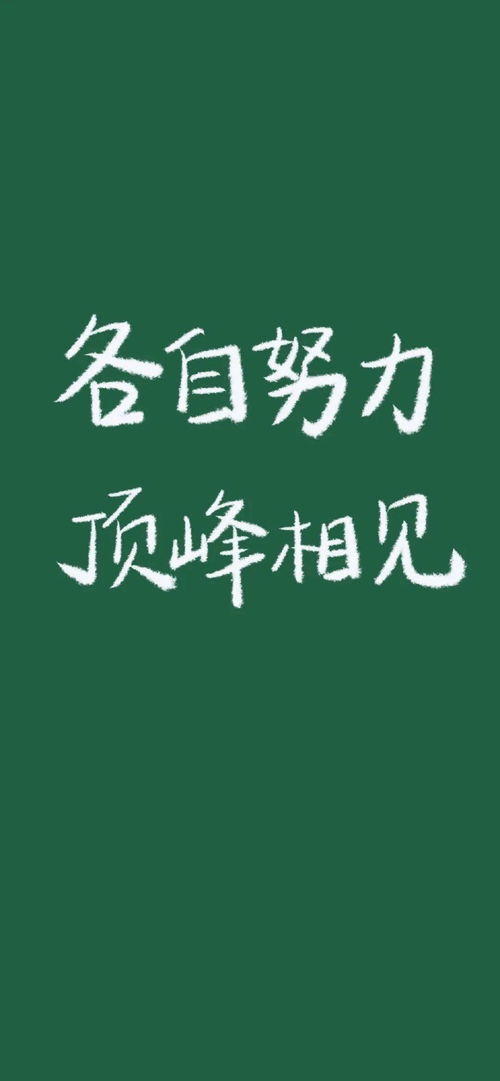 抖音经典语录霸气短句最火爆的经典说说精选