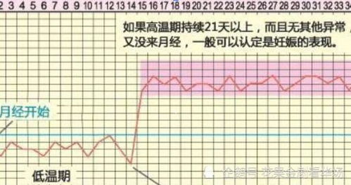 女性正常排卵期会有哪些症状