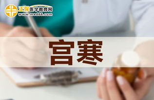 宫寒女性备孕怎么办