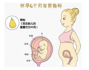 怀孕38周胎儿大小标准