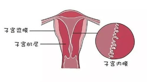 睾丸潮湿有异味怎么回事儿