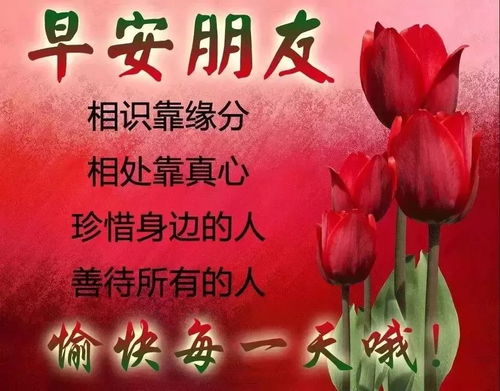 同学群早上问好祝福语加图片