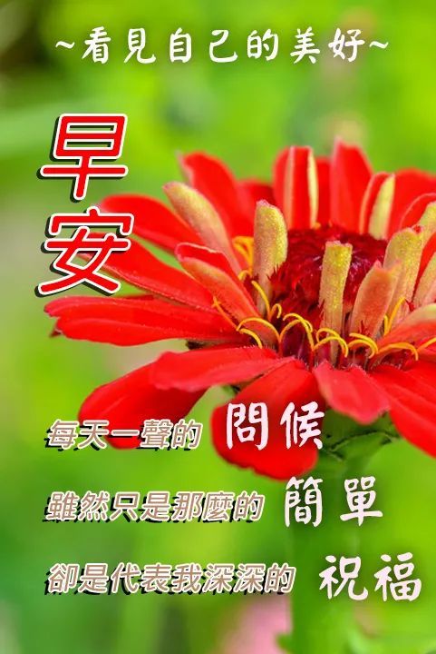 同学群早上问好祝福语加图片