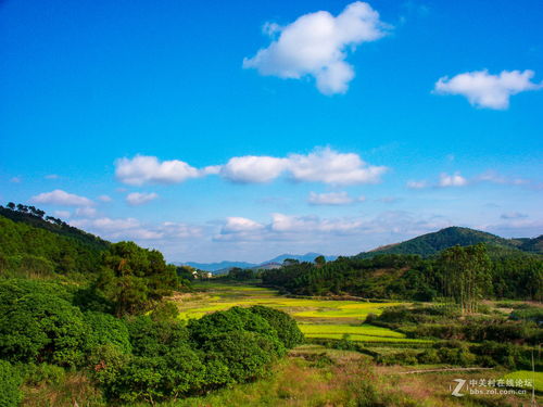 赞美山村风景优美的诗句