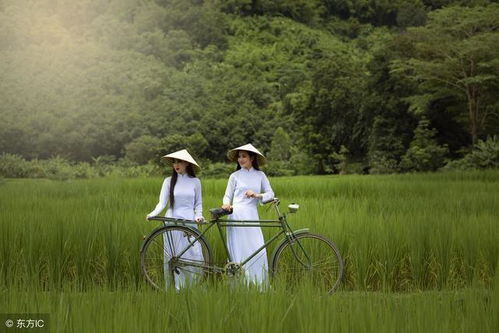 赞美山村风景优美的诗句