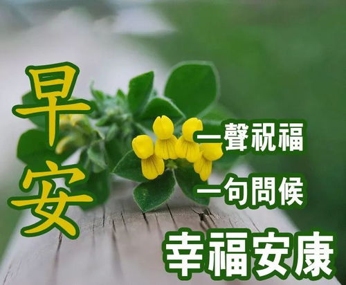 祝福朋友的句子 暖心简单