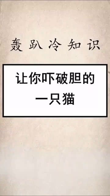 关于冷知识的文案