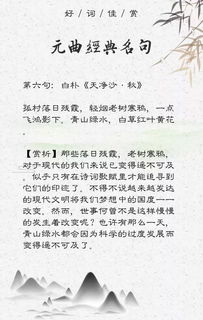 形容考试后悔的句子