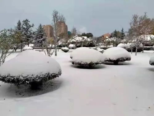 雪花什么样子的？