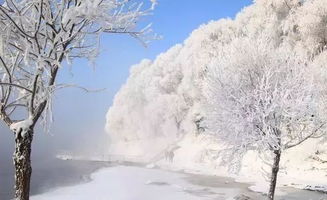 赞美雪的诗句唯美句子