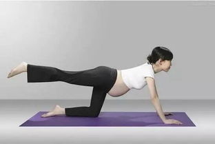 孕妇适合什么运动锻炼身体