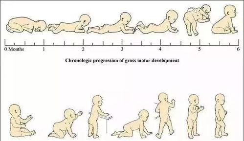 孕育天才宝宝有这四大规律