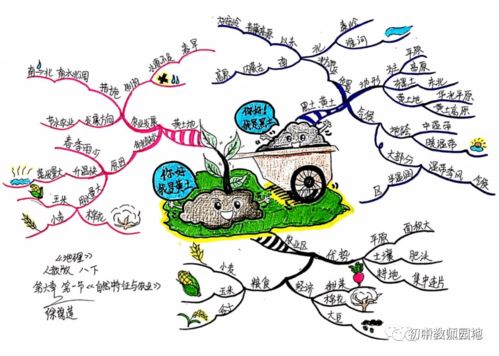 如何绘制思维导图