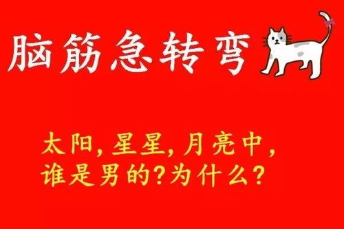 关于离乡的文案