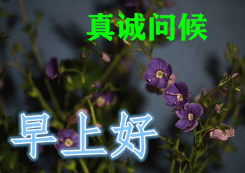 情人节感恩的话语