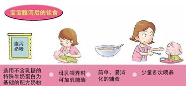 拉肚子还能喂母乳吗