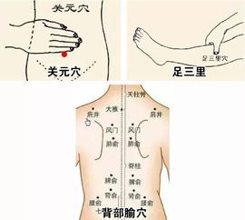 慢性支气管炎的偏方