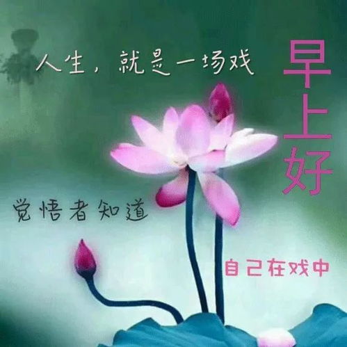 早安暖心话送朋友[推荐86句怎么说