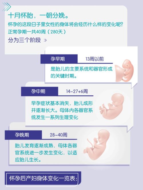 女性不易怀孕的原因是什么