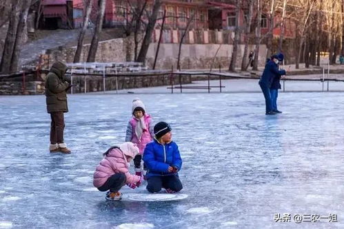 为什么“瑞雪兆丰年”？