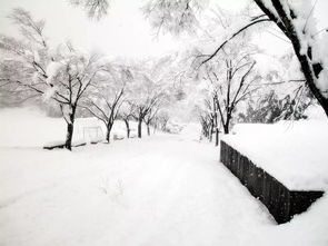 下雪天孕妇出门注意事项有哪些呢