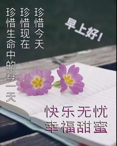 祝福学业越来越好的成语