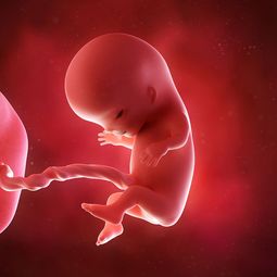 胎儿入盆早晚的原因是什么