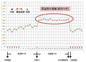 排卵期简单易懂的算法