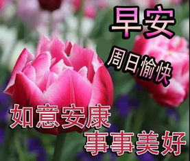 母亲节祝福语简短5个字[共计108句话