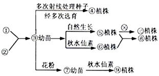 染色体和基因是一回事吗