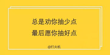 二十年的感慨文字