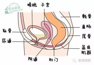 胎头低是什么原因造成的